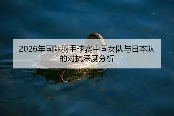 2026年国际羽毛球赛中国女队与日本队的对抗深度分析