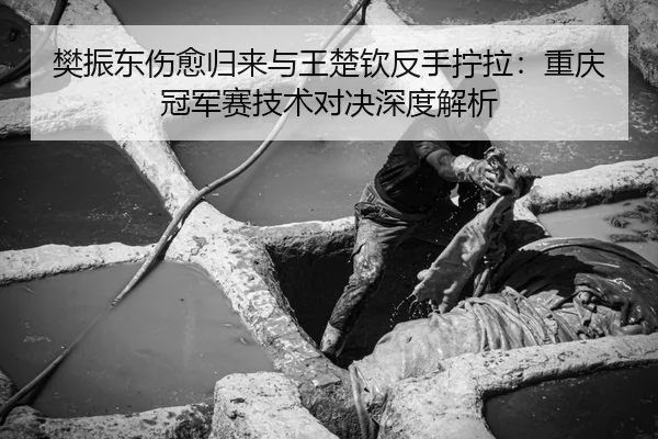 樊振东伤愈归来与王楚钦反手拧拉：重庆冠军赛技术对决深度解析